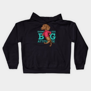 Short Legs Big Attitude Kids Hoodie